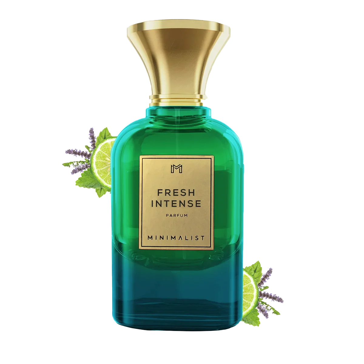 Amber Leather / Fresh Intense Parfum Gift Box - Image 4