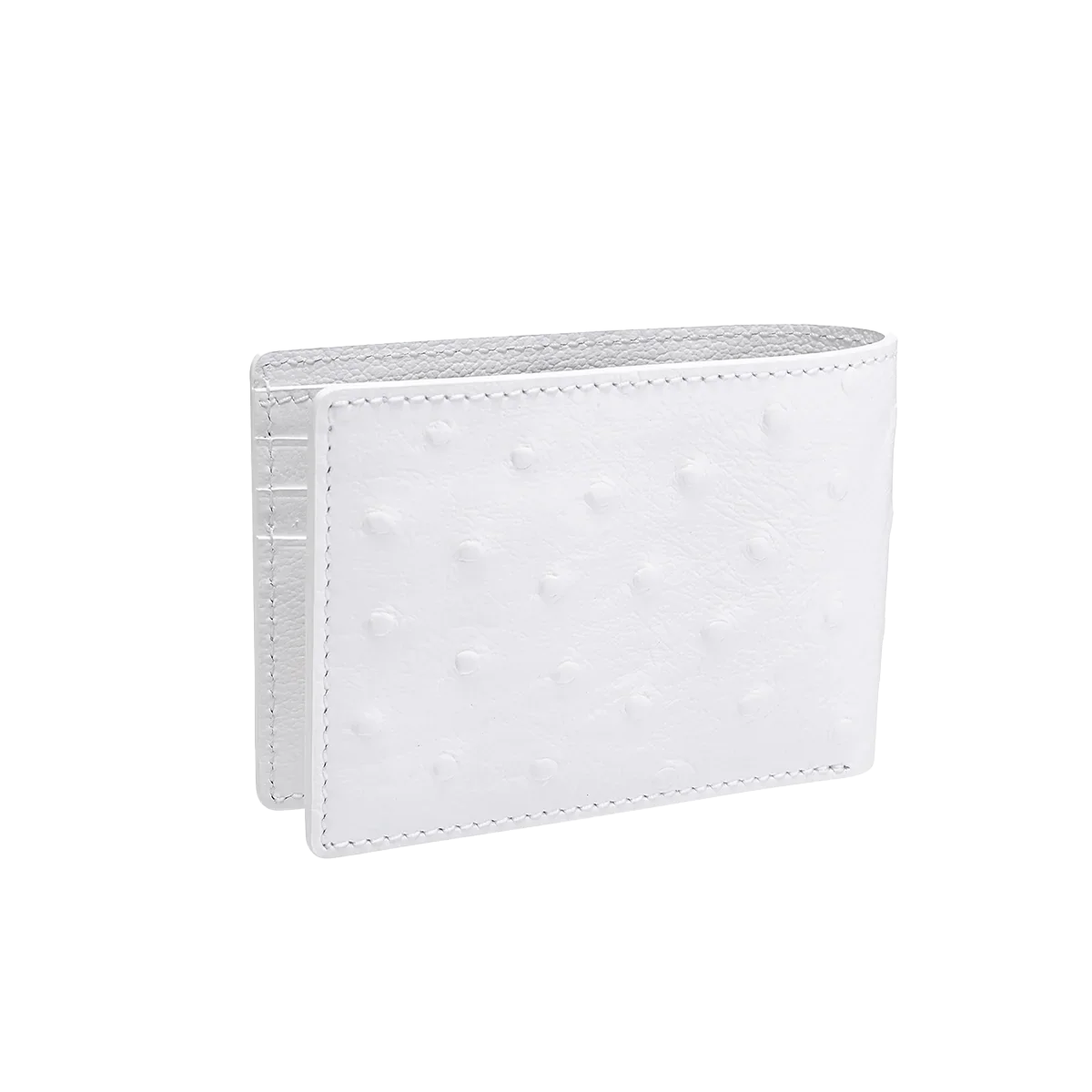 Camel Leather / Ostrich Print - Image 3