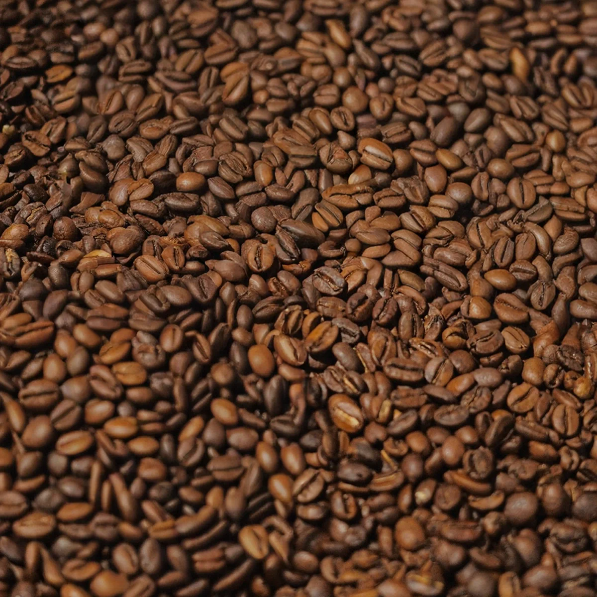 Brazil El Dorado Coffee - Image 4
