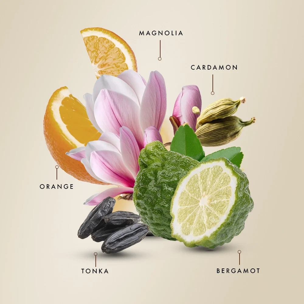 Saffron Musk / Santal Spice Parfum - Gift Box - Image 9